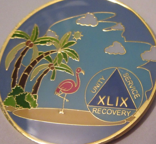 Beach - Blue yellow pink Alcoholics Anonymous 49 Year AA Medallion Coin ...