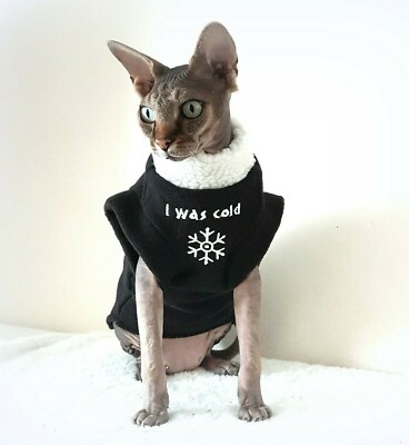 sphynx cat with clothes