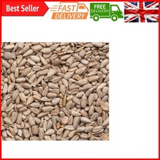 Sunflower Hearts for Wild Birds 25KG - All-Natural High-Protein Bird Food for... 3.36 per kilo