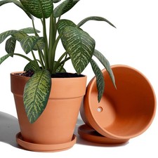 vensovo 8 Inch Clay Pot for Plant with Saucer - 2 Pack Large Terra Cotta Plan...