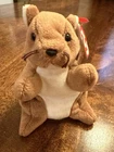 Ty Beanie Babies Nuts The Squirrel Vintage 1996 Stuffed Animal Retired +Tags