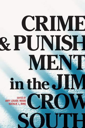 Crime and Punishment in the Jim Crow South by Amy Louise Wood - Image 3