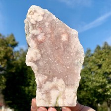 324G Natural Cherry Blossom Agate Geode Druzy Slice Extra Large Gemstone