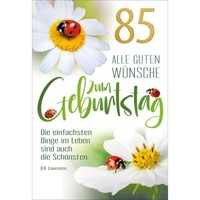 85. Geburtstag GlüCkwunschkarte Mit Briefumschlag MarienkäFer Und Margerite