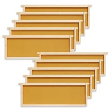 10 Assembled Beehive Frames, Beeswax Coated Foundations for Beekeeping, 6-1/4"