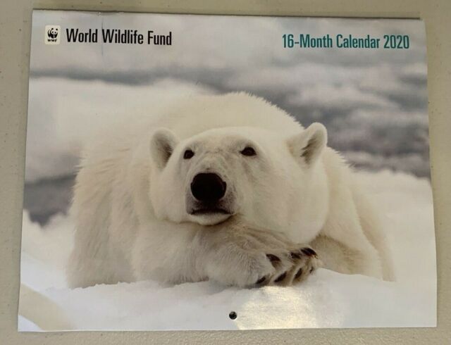 world-wildlife-fund-16-month-calendar-2020-new-ebay