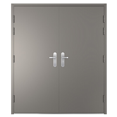 VIZ-PRO Quick Mount Double Steel Security Door with Frame and Hardware