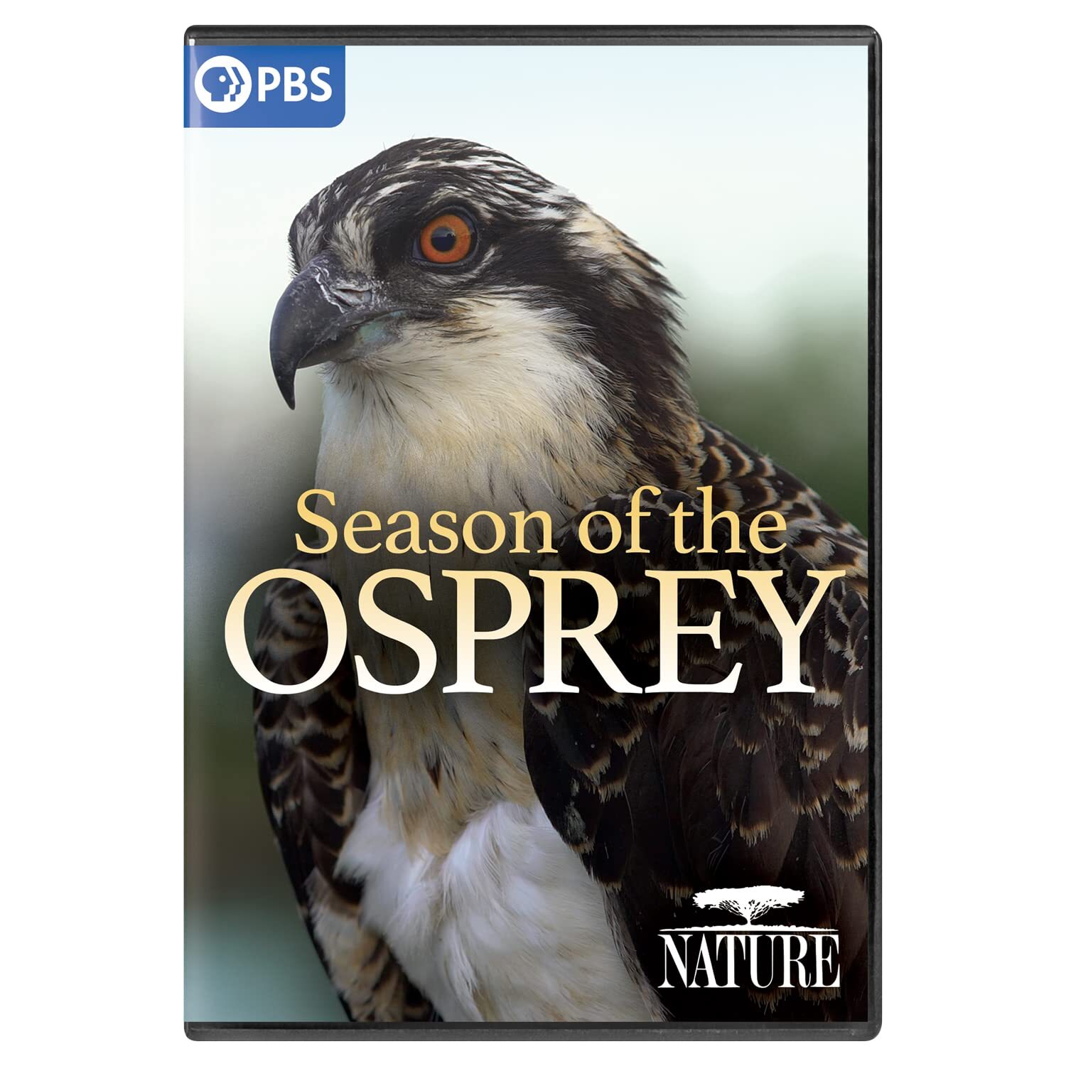 Nature: Season of the Osprey (DVD)