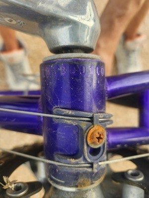 Vintage Terry Symmetry Road Bike Designed by Georgena Terry for