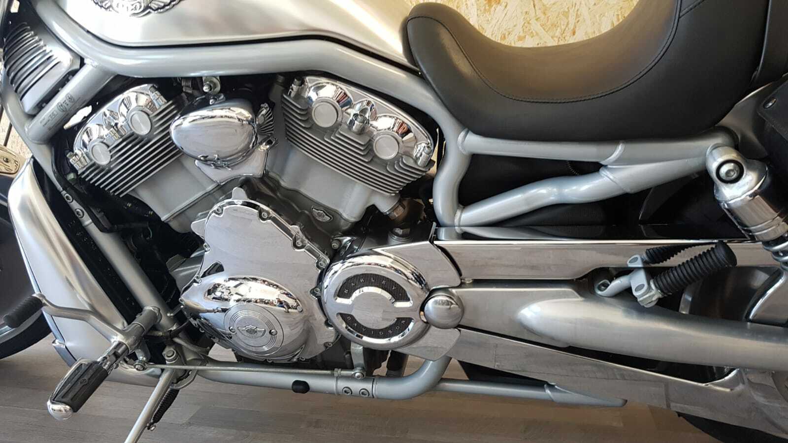 Harley-Davidson V-Rod Anniversary 2002 in buone condizioni foto 3