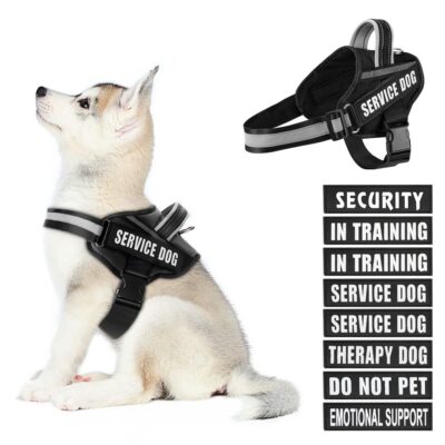 Dog Vest Harness and Patches Set in Training Service Dog Harness with 10 Dog ...
