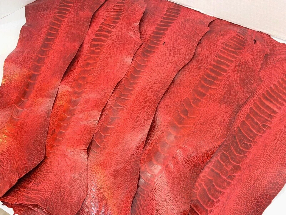 5 Ostrich legs Leather Scarlet Red GL Colors G.B (%100 Natural Genuine Hide)  - Image 4 of 4