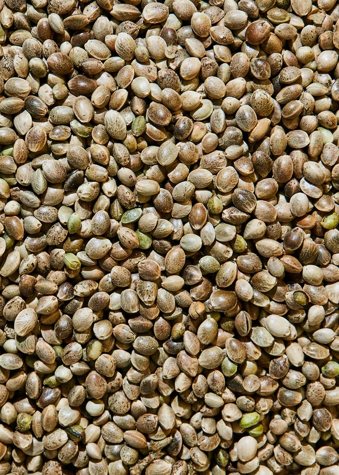 KoRo | Ungeschälte Bio Hanfsamen 1 kg - Bild 3 von 4