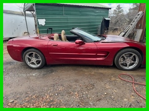 1999 Chevrolet Corvette for sale in Bayfield Colorado