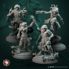Tabaxi Leonin Fighter Rogue Wizard Cleric War...