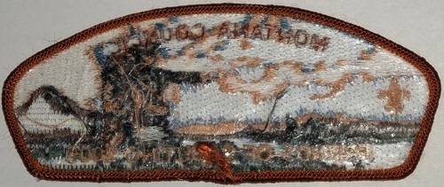 VINTAGE MERGED OA MONTANA 300 BSA APOXKY AIO FLAP 2005 RARE SCOUTING JSP CSP - Picture 2 of 4