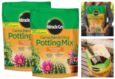 Succulents Cactus Palm Citrus Potting Soil Mix, 2 Bags 8 Dry Qt., Fast-Draining