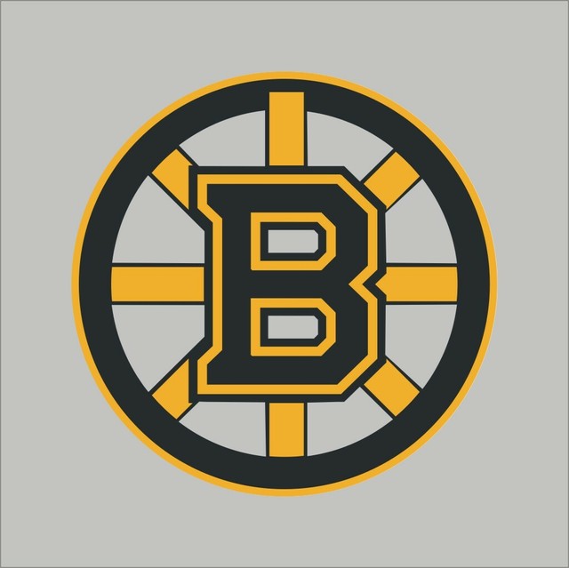 Boston Bruins 6 NHL Team Pro Sports Vinyl Sticker Decal Car Window