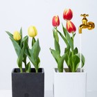 Bild 12 von 12