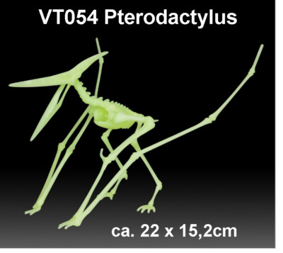 Pterodactylus Skelett nachtleuchtend Schnellbausatz EDU Toys