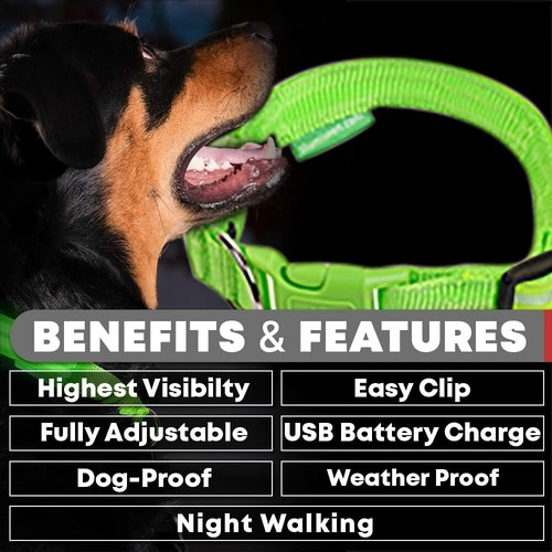Collar LED para perro iluminación ajustable mascota USB recargable seguridad luminoso TODOS LOS TAMAÑOS - Imagen 9 de 28