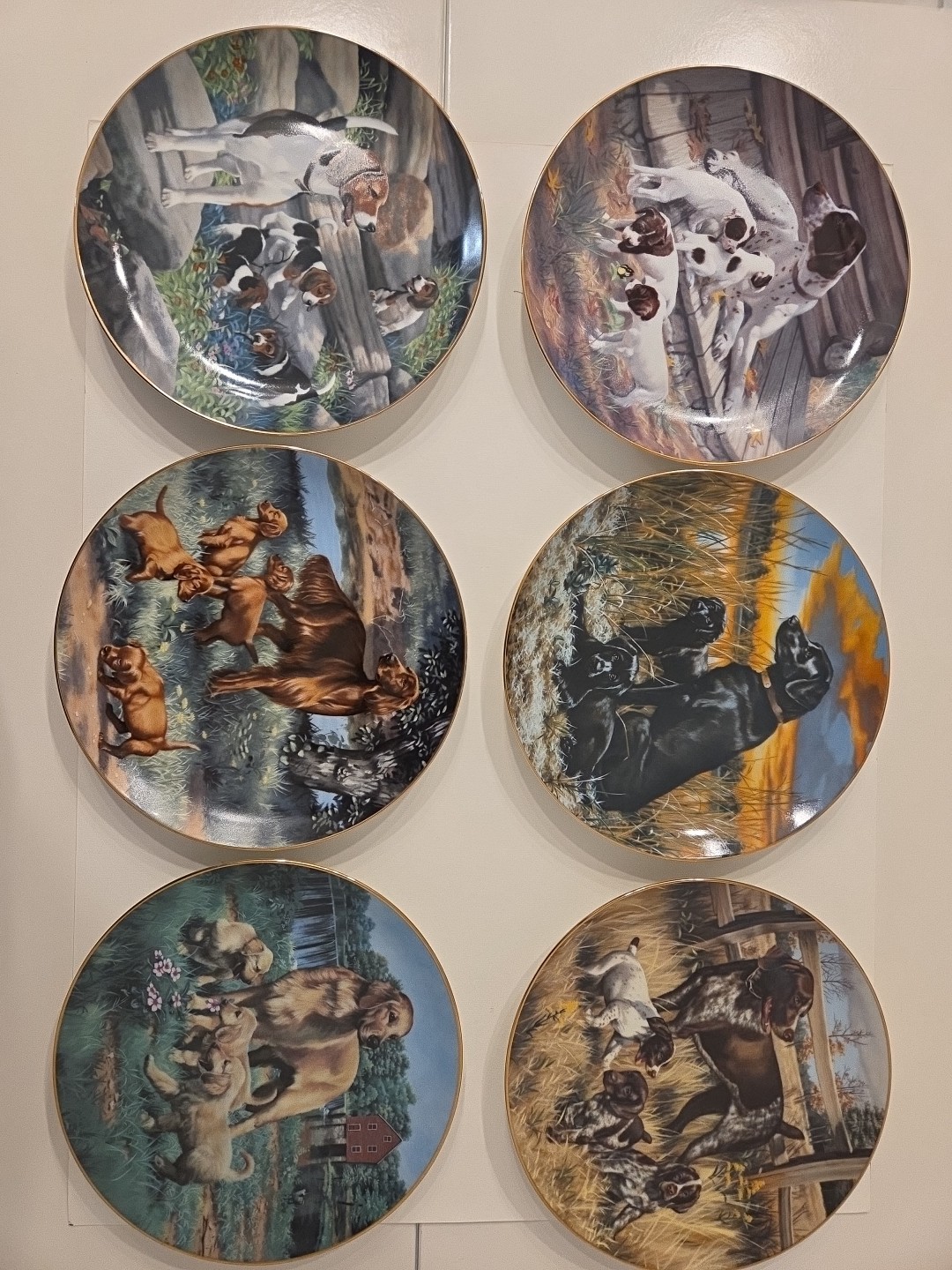 Classic Sporting Dogs-Robert Chiistie- Hamilton Collection 8 Plates