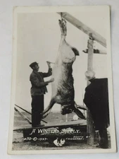 A winters Supply THeyre Bigger down here 1937 Real Photo RPPC Post Card