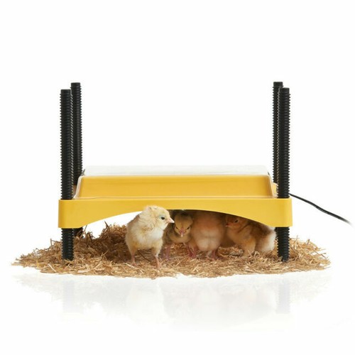 EFUTURETIME Chick Brooder Heating Plate Réglable en hauteur de 7 à 19 EFUTURETIME Chick Brooder Heating Plate Réglable en hauteur de 7 à 19