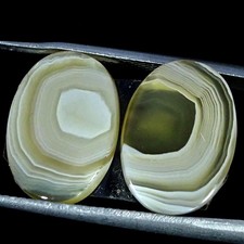 10.10Cts Natural Botswana Agate Pair Oval Cabochon Gemstone 11X15X3MM