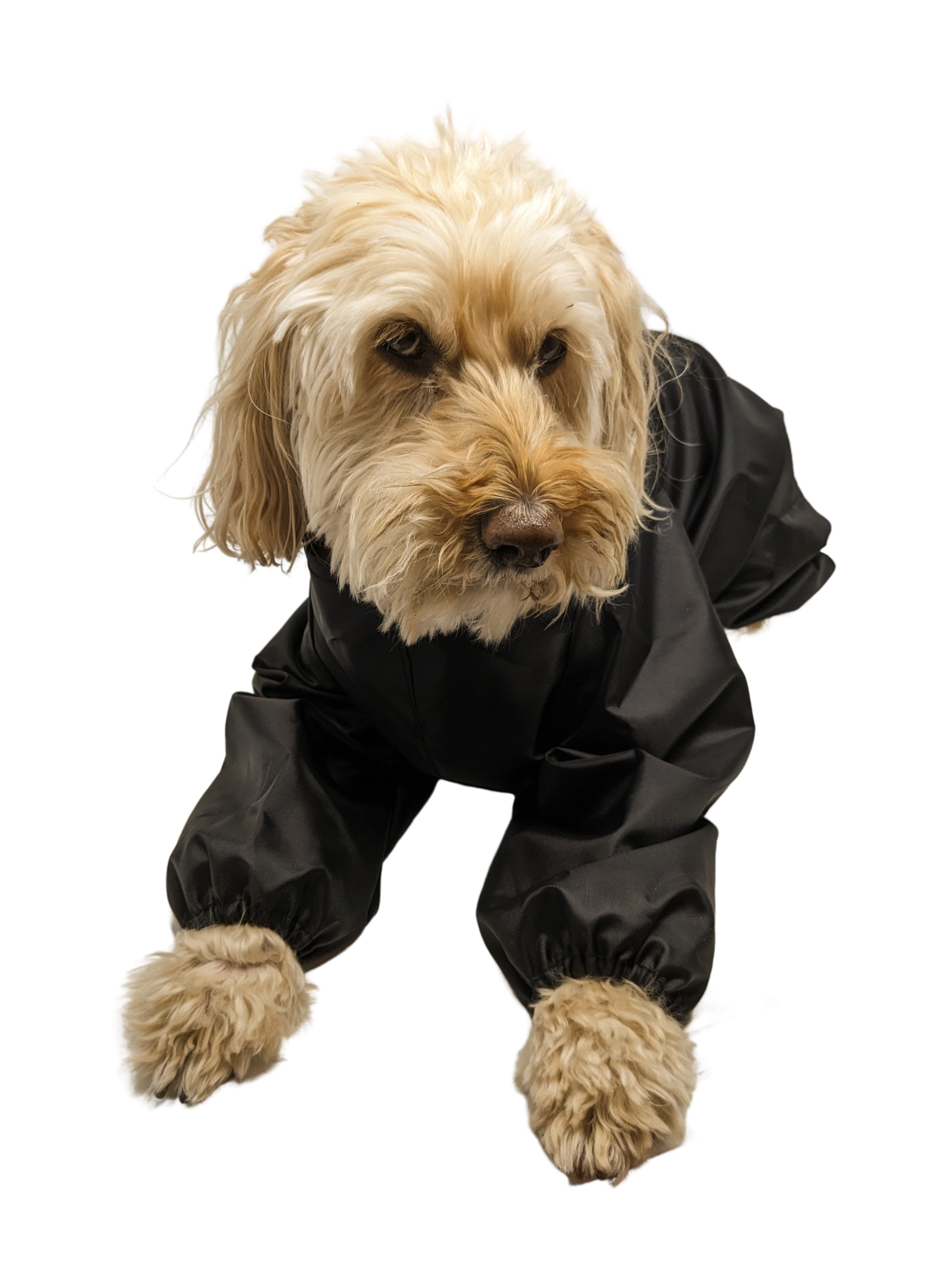 Doggie Coats Trouser Suit Luxury Waterproof Dog Rain Coat eBay