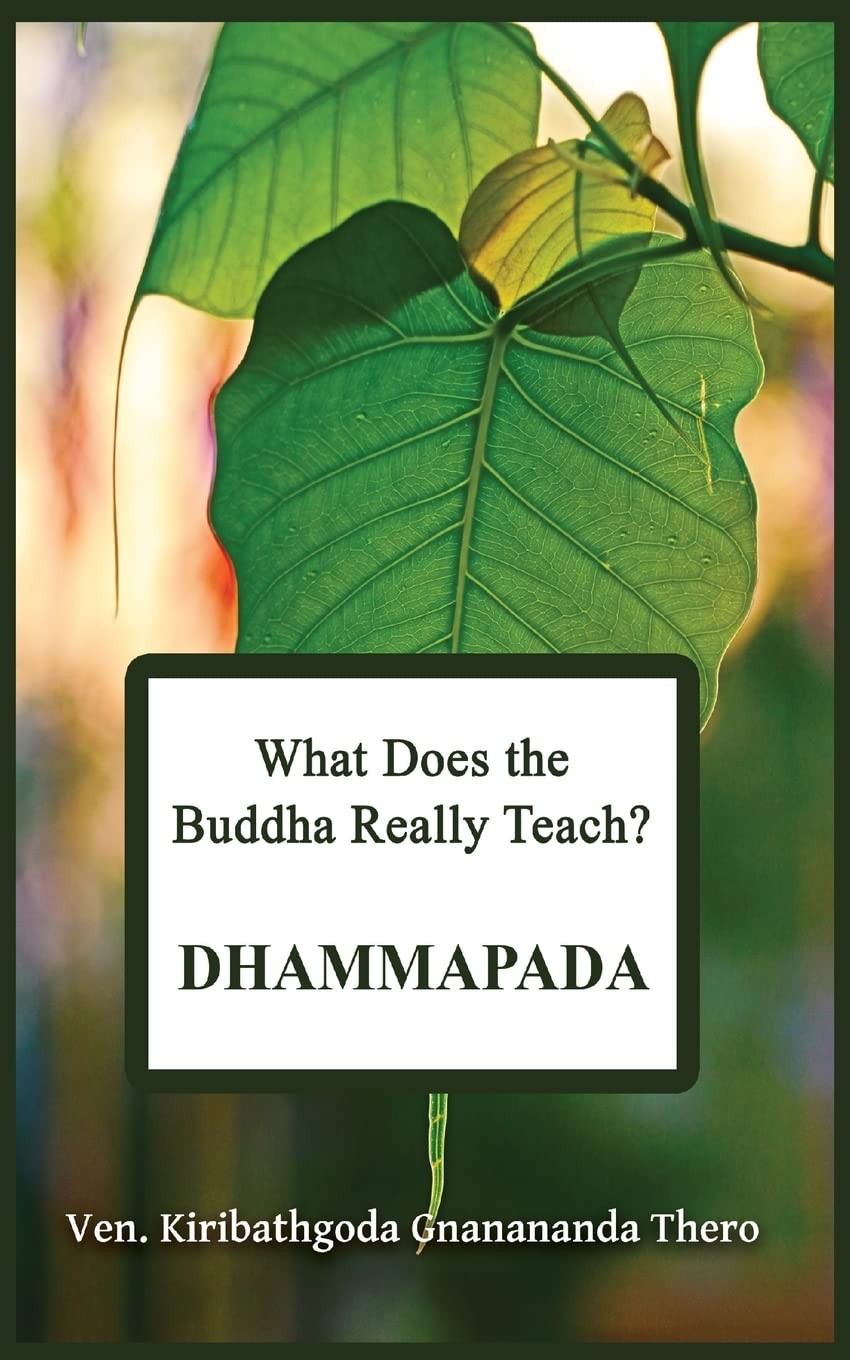 What Does the Buddha Really Teach Dhammapada Pali English Paperback - Image 2