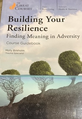 Building Your Resilience : Finding Meaning in Adversity by Molly Birkholm (2019,