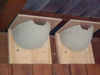 1 Mehlschwalben Nest Holzbeton Vogelhaus Schwalben Nest Futterhaus