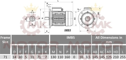 Single Phase 0.37kW 0.5HP 11rpm Type 90 Electric Motor & Worm Gearbox Drive i125 - Picture 4 of 4
