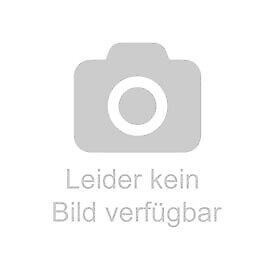 Thumbnail - Hämmerle, Susa: Dornröschen