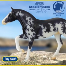 Breyer Stablemate Club 2023 Lanin