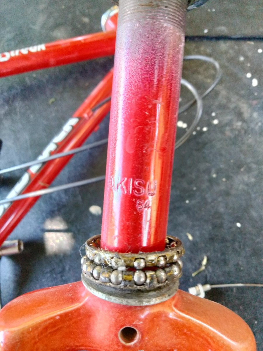 Vintage Diamond Back Fleet Streak 1984 toptube 22