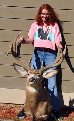 30'' Reproduction Mule Deer Shoulder Mount Taxidermy Montana Decor Mountain #4