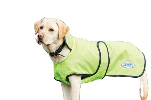 Palace K-Way Dog Jacket | eBay