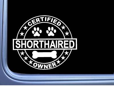 Certified German Shorthaired Pointer L316 Dog Sticker 6'' decal