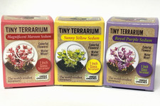 Billy Bob Tiny Terrarium-Flower 3 Pack