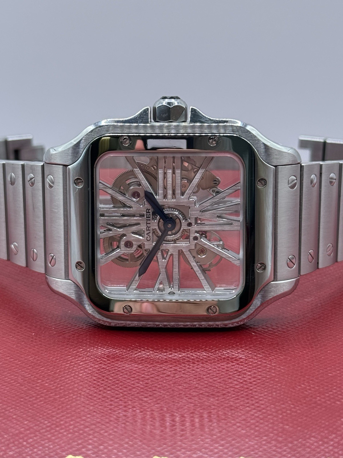Cartier Santos Skeleton WHSA0015
