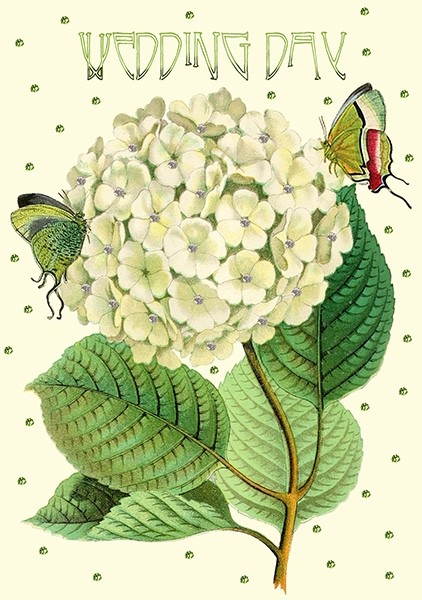 Wedding Day White Hydrangea  Art Blank Greeting Card Butterflies Flowers Glitter