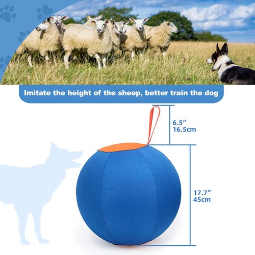 Dogs Herding Ball Horse Ball Large Ball With Air Pump For Play Hurding Ball UK - Picture 2 of 10