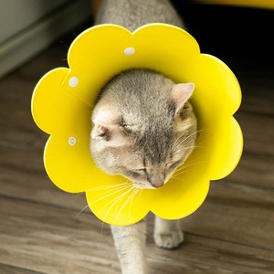 cloth cat cone