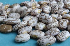 Cinco's Pinto Bean - wonderful taste of the Southwest