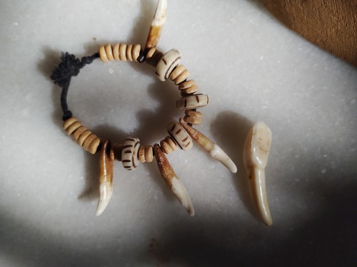Vintage native american animal tooth baby bracelet