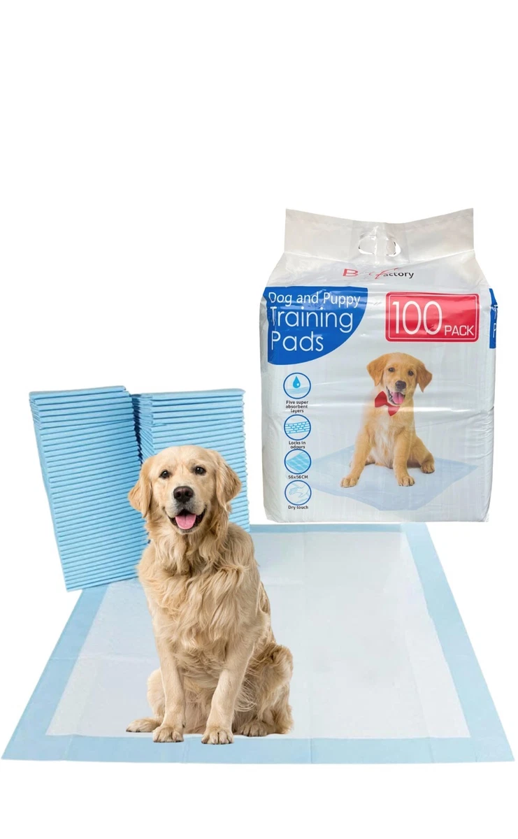 Cheap puppy training pads cheap