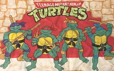 TEENAGE MUTANT NINJA TURTLE fabric iron-on applique NO SEW TMNT Raphael Leonardo