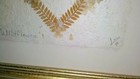(2) Wall Art Pictures Frame Heart Shaped Pressed Flowers "Wildflowers" * Letitia — photo 6